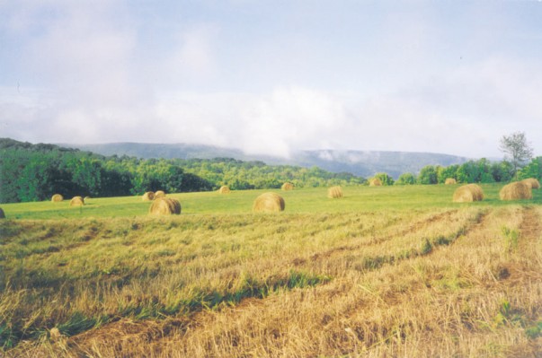 A View from Blue Hill