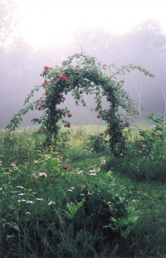 Entering Sacred Time