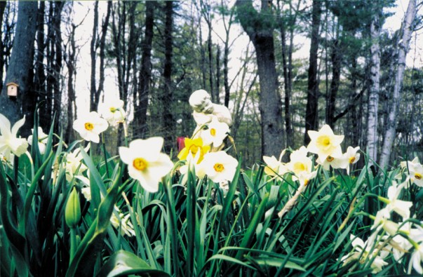 The Sleeping Goddess