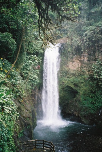 Waterfall at Peace Garden