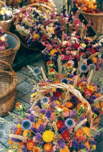 250-Saturday-go-to-market